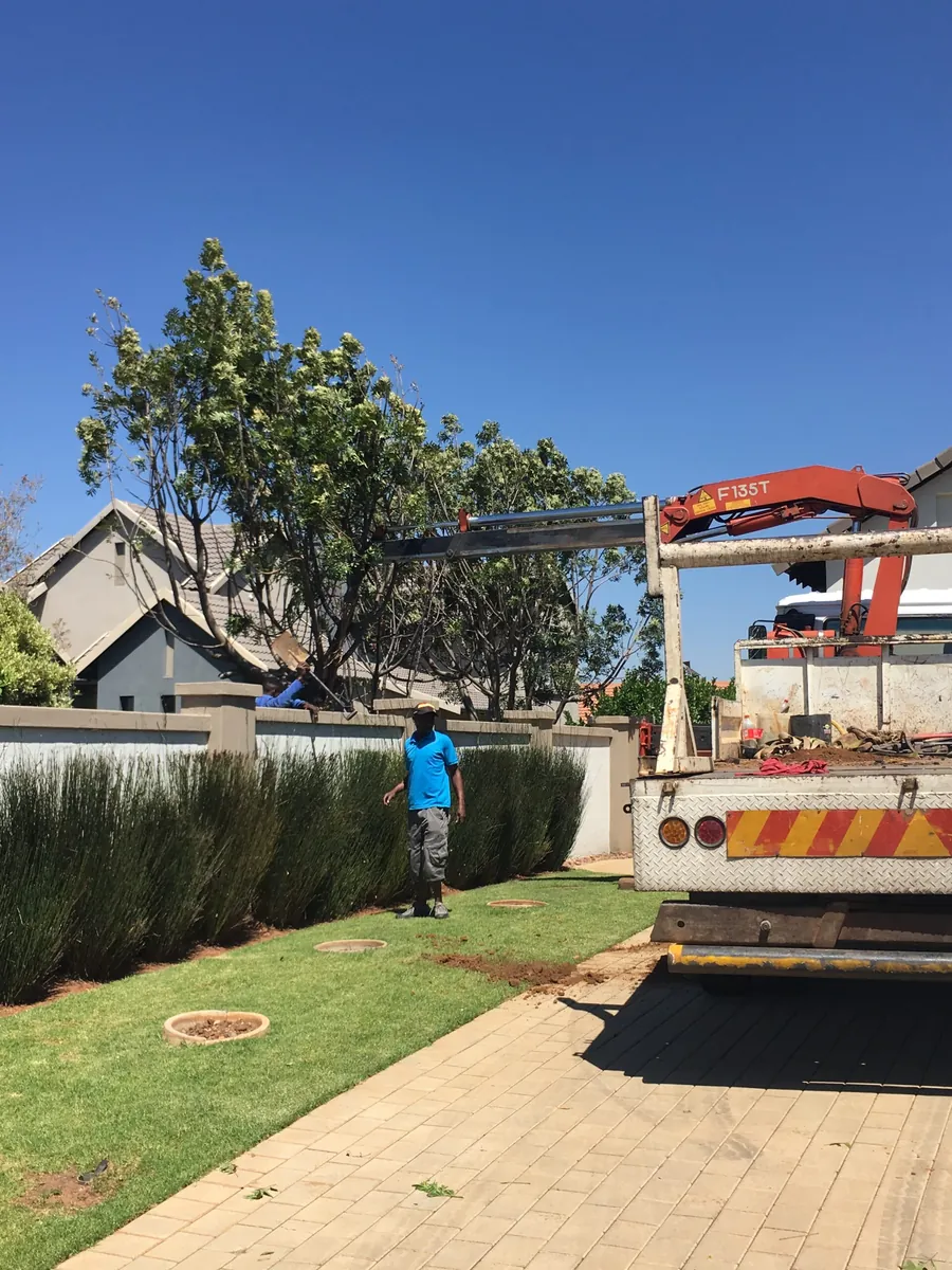 Crane truck relocating tree at residential property