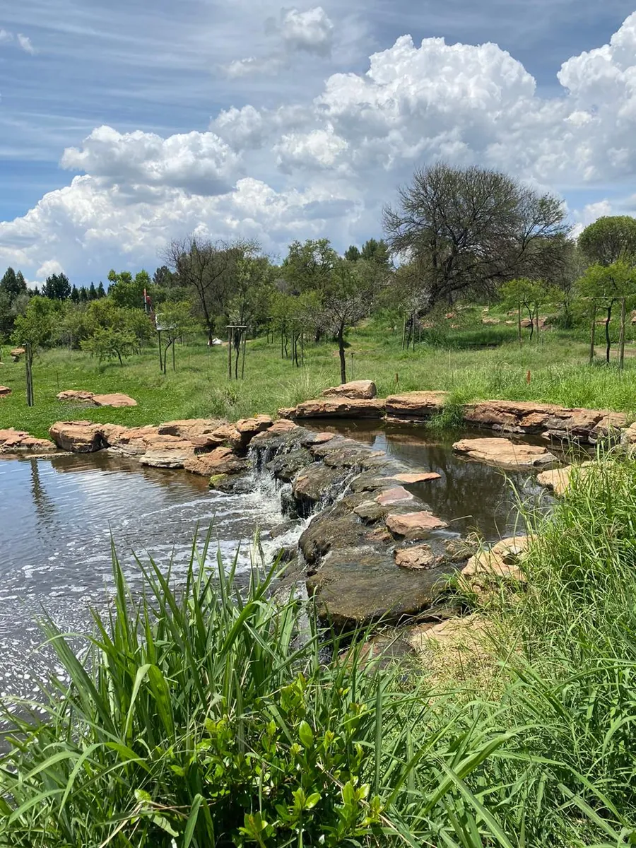 Rock waterfall and dam feature